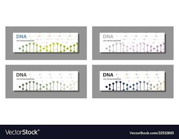 Set of 9 templates for presentation slides vector image