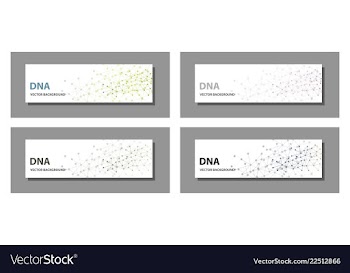 Set of 9 templates for presentation slides vector image