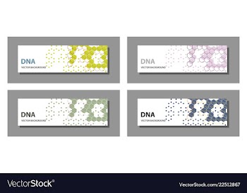 Set of 9 templates for presentation slides vector image