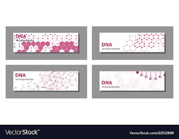 Set of 9 templates for presentation slides vector image