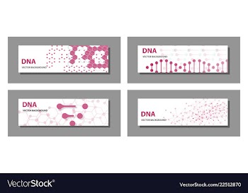 Set of 9 templates for presentation slides vector image