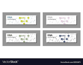 Set of 9 templates for presentation slides vector image
