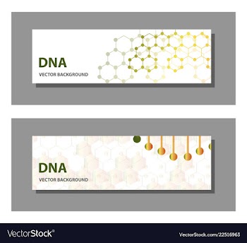 Set of 9 templates for presentation slides vector image