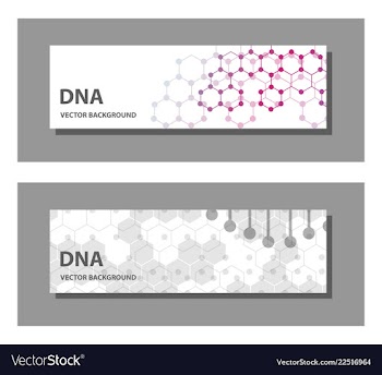 Set of 9 templates for presentation slides vector image