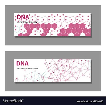 Set of 9 templates for presentation slides vector image