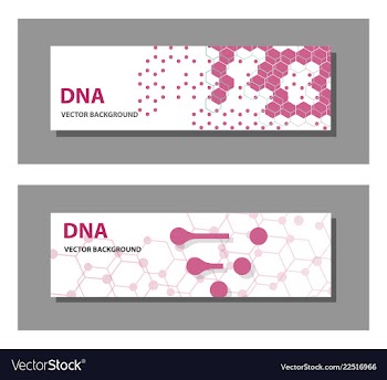 Set of 9 templates for presentation slides vector image