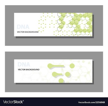 Set of 9 templates for presentation slides vector image