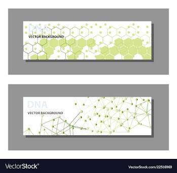 Set of 9 templates for presentation slides vector image