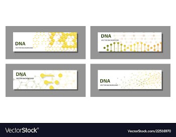 Set of 9 templates for presentation slides vector image