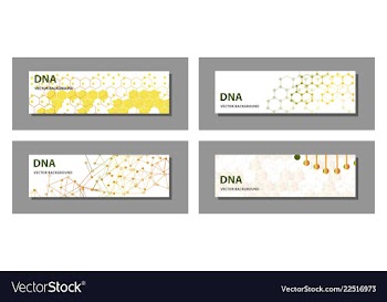 Set of 9 templates for presentation slides vector image