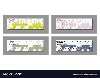 Set of 9 templates for presentation slides vector image