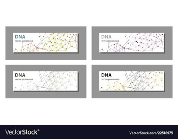 Set of 9 templates for presentation slides vector image