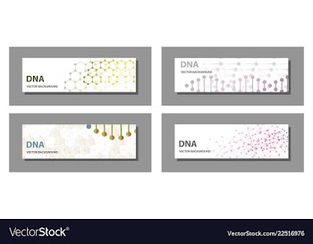 Set of 9 templates for presentation slides vector image