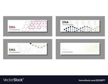 Set of 9 templates for presentation slides vector image