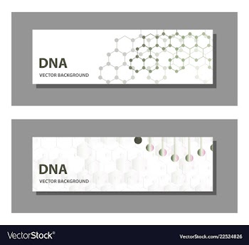 Set of 9 templates for presentation slides vector image