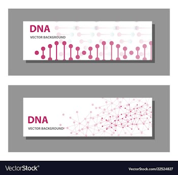 Set of 9 templates for presentation slides vector image