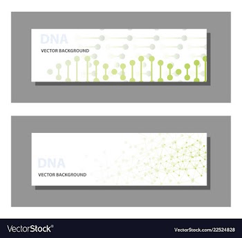 Set of 9 templates for presentation slides vector image