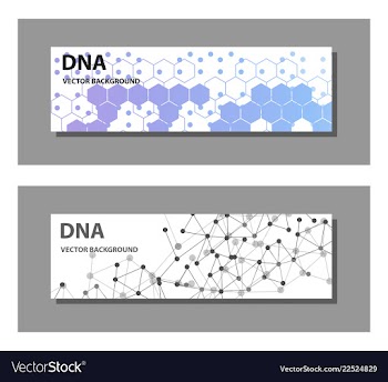 Set of 9 templates for presentation slides vector image