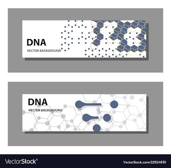 Set of 9 templates for presentation slides vector image