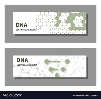 Set of 9 templates for presentation slides vector image