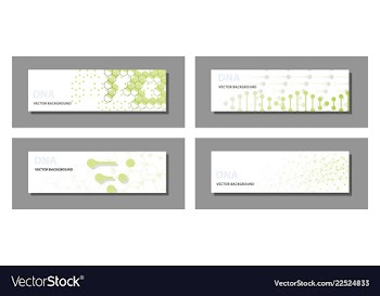 Set of 9 templates for presentation slides vector image