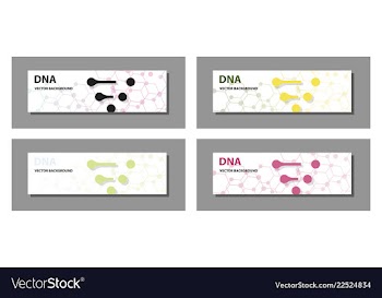 Set of 9 templates for presentation slides vector image