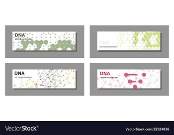 Set of 9 templates for presentation slides vector image