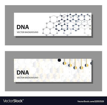 Set of 9 templates for presentation slides vector image