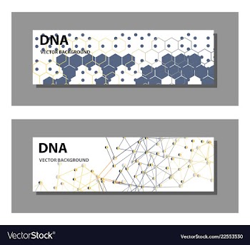 Set of 9 templates for presentation slides vector image