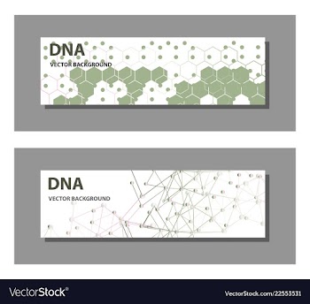 Set of 9 templates for presentation slides vector image