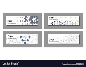 Set of 9 templates for presentation slides vector image