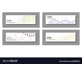 Set of 9 templates for presentation slides vector image