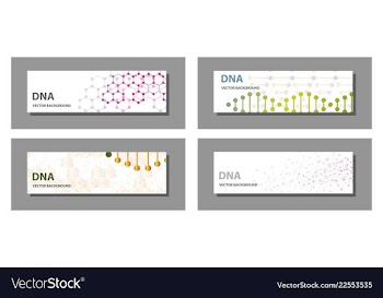 Set of 9 templates for presentation slides vector image