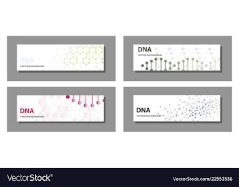 Set of 9 templates for presentation slides vector image