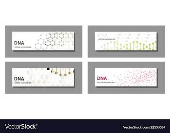 Set of 9 templates for presentation slides vector image