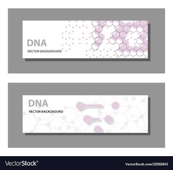 Set of 9 templates for presentation slides vector image