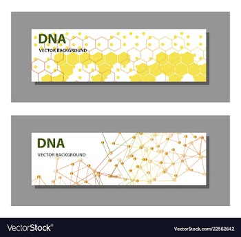 Set of 9 templates for presentation slides vector image
