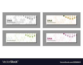 Set of 9 templates for presentation slides vector image