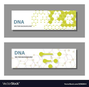 Set of 9 templates for presentation slides vector image