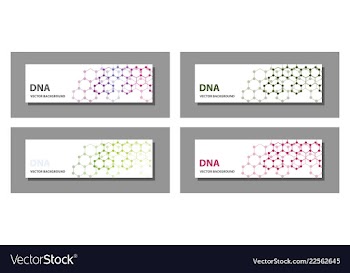 Set of 9 templates for presentation slides vector image