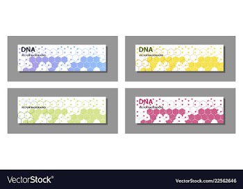Set of 9 templates for presentation slides vector image