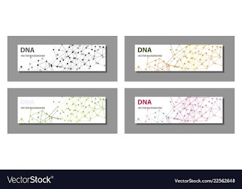 Set of 9 templates for presentation slides vector image