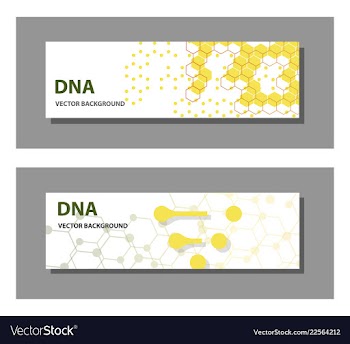 Set of 9 templates for presentation slides vector image