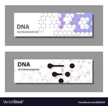 Set of 9 templates for presentation slides vector image