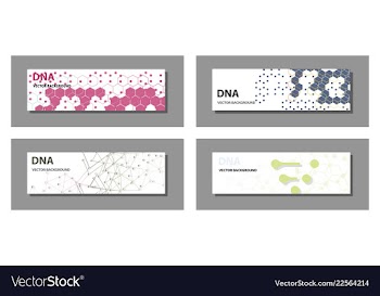 Set of 9 templates for presentation slides vector image