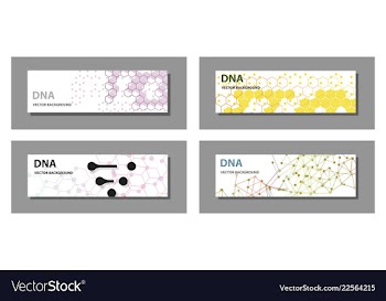 Set of 9 templates for presentation slides vector image