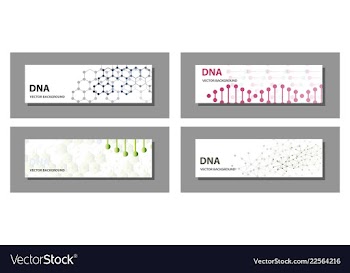 Set of 9 templates for presentation slides vector image
