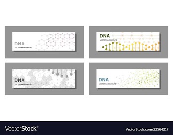 Set of 9 templates for presentation slides vector image