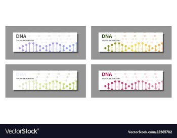 Set of 9 templates for presentation slides vector image