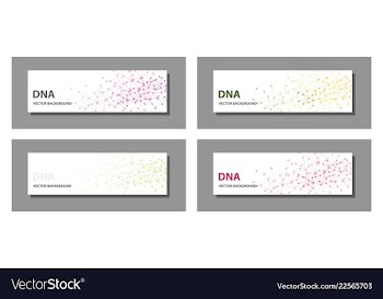 Set of 9 templates for presentation slides vector image